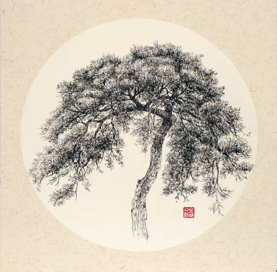 김상문 作 '소나무1'.