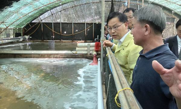 김성범 해양수산부 차관이 5일 포항 오도수산을 방문해 양식장 고수온 현장을 점검하고 있는 모습. 해양수산부 제공