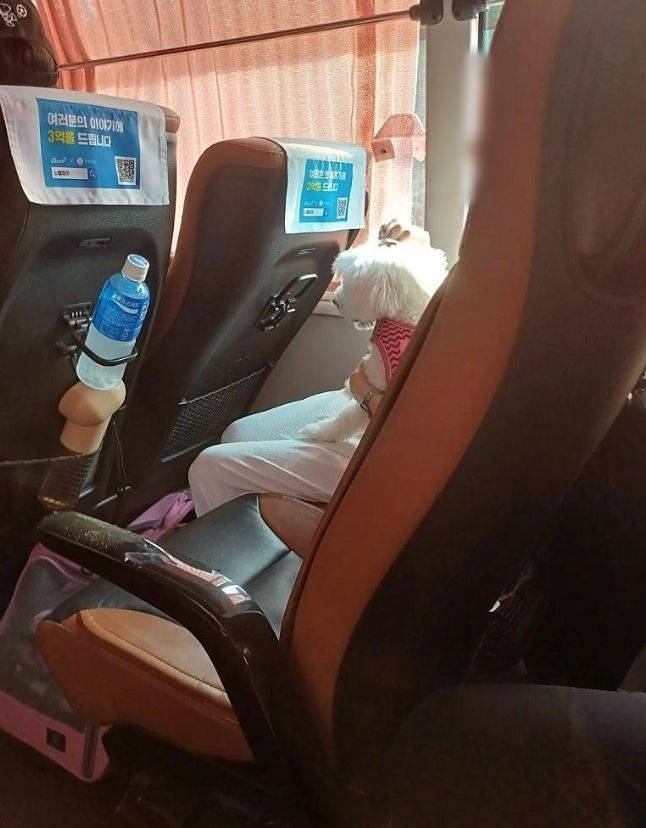 /사진=온라인 커뮤니티