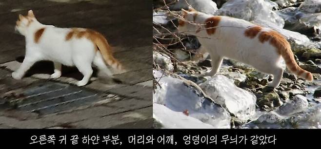 유튜브 채널 ‘5275 오이칠오’ 갈무리