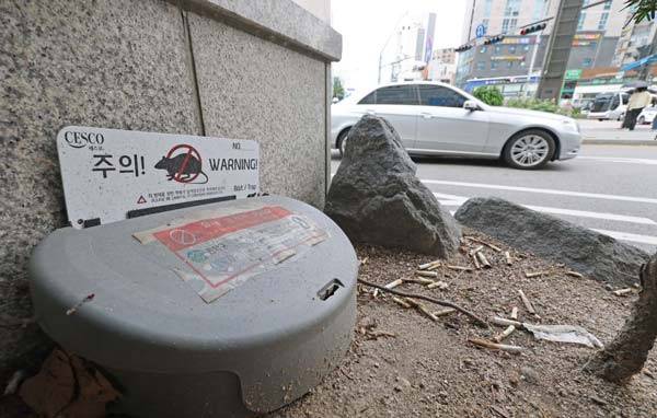 사진= 조선일보 DB