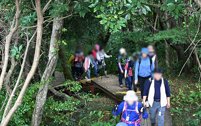 제주도 제공