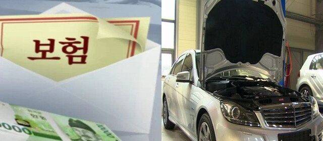 연합뉴스TV 캡처