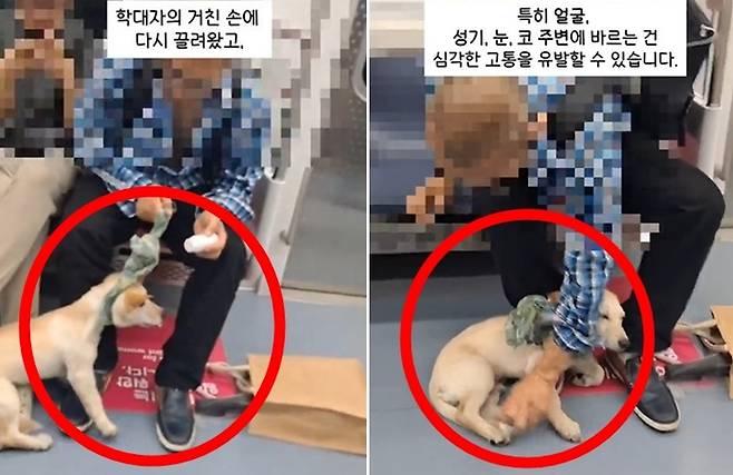 [사진출처=케어 영상 편집]