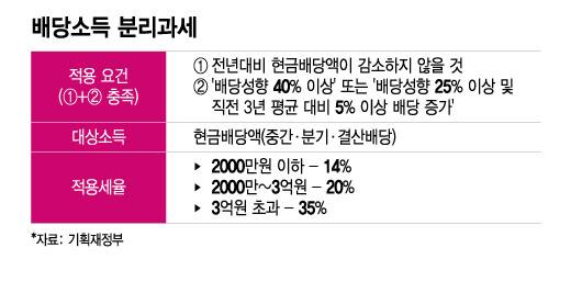 배당소득 분리과세/그래픽=이지혜