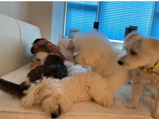 윤석열 전 대통령 반려동물 인스타그램