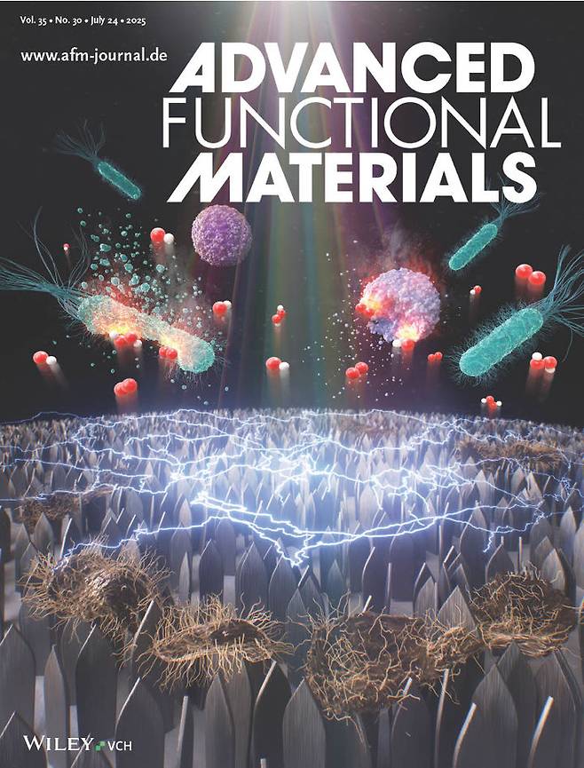 [서울=뉴시스] 어드밴스트 펑셔널 머터리얼즈 지난달 24일 표지 논문으로 세종대 정재희 교수의 연구가 선정됐다. (사진=세종대 제공) 2025.08.05. photo@newsis.com *재판매 및 DB 금지