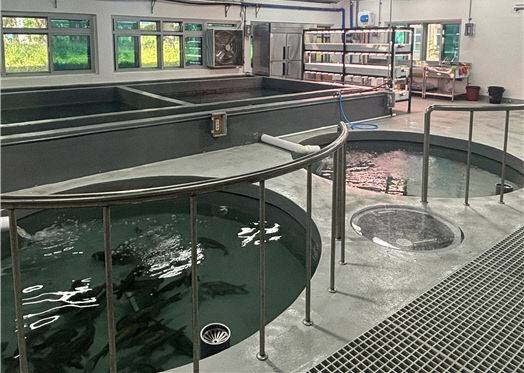 충남해양과학고 학생들의 실습현장인 내수면양식장 모습. /충남교육청 제공