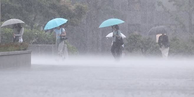 비 내리는 날. /뉴스1