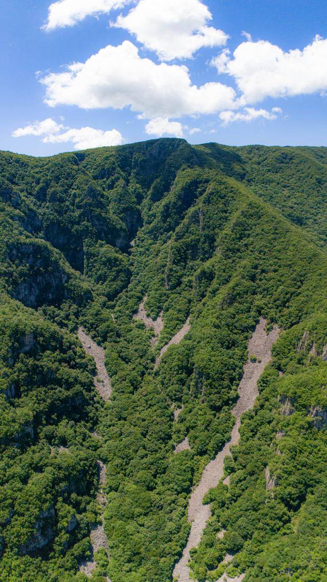재약산 얼음골의 너덜지대(애추·테일러스 지형)를 하늘에서 바라본 모습.