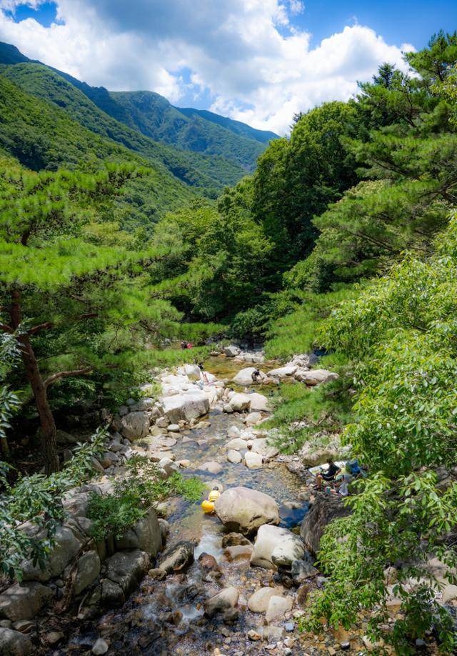 호박소 계곡 하류가 동천에 합류하는 지점에서 피서객들이 물놀이를 즐기고 있다.