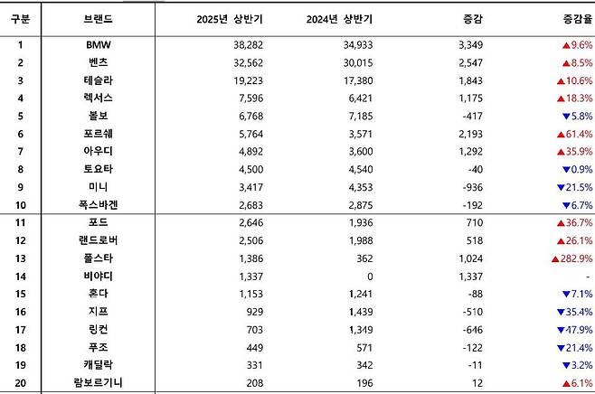 2025년 상반기 브랜드별 수입 승용차 판매 대수 / 출처=카이즈유데이터연구소