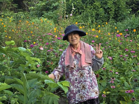본인이 직접 가꾼 백일홍 꽃밭에서 활짝 웃는 김수자 할머니.