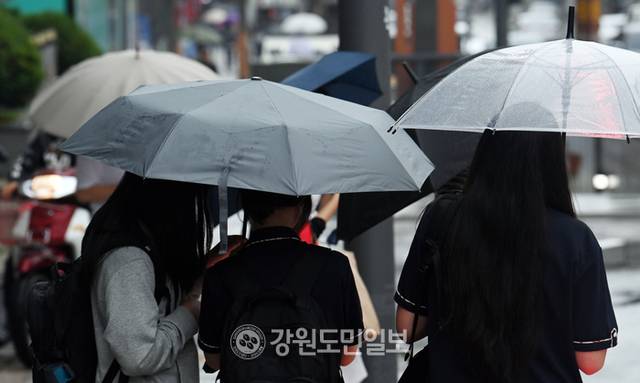 ▲ 강원도민일보 자료 사진