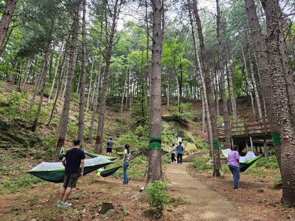 경기도가 가평 잣향기푸른숲, 포천 하늘아래치유의숲, 양평 용문산치유의숲, 동두천치유의숲 등 4곳에서 ‘산림치유 프로그램’을 운영한다. 경기도 제공