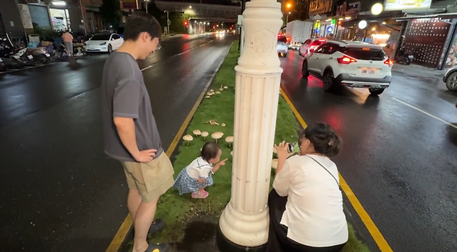 도심에서 자란 버섯 앞에서 사진 찍는 시민들. [사진 = marketersgo]
