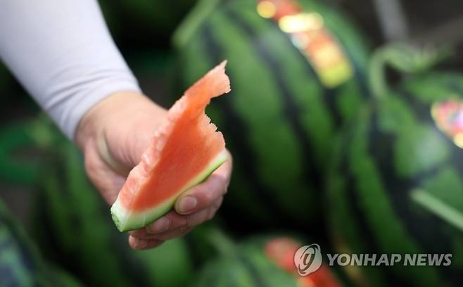 [자료=연합뉴스]