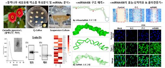 /자료=지에프씨생명과학