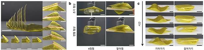 단일 로봇 종이로부터 유도되는 다양한 형상 변형 및 이의 활용 예시.[KAIST 제공]