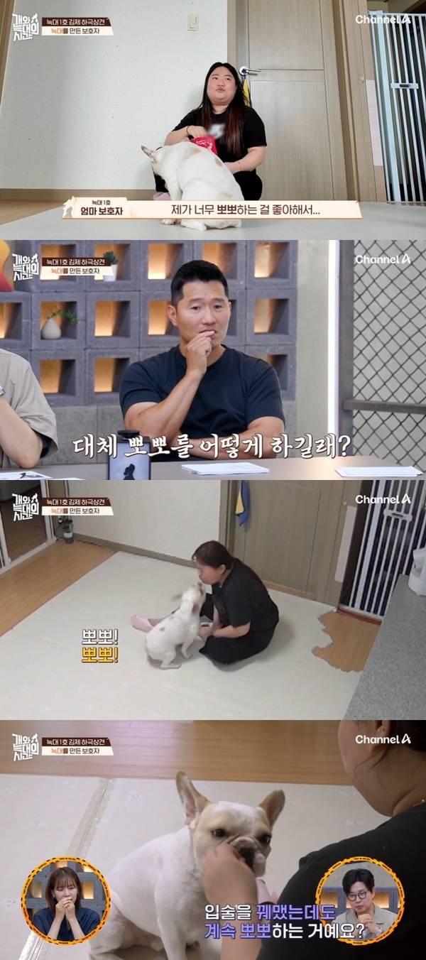 채널A ‘개와 늑대의 시간’ 캡처