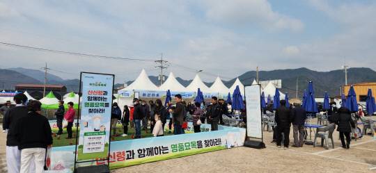 옥천묘목축제장모습. 옥천군제공