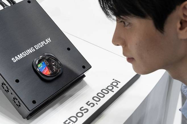 삼성디스플레이가'K-디스플레이 2025'에서 선보인 1.4형 5000PPI의 RGB 올레도스 제품ⓒ삼성디스플레