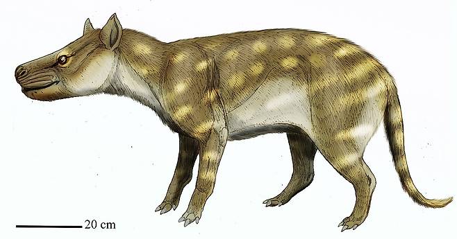 선사시대 육식 동물 ‘디사쿠스 프레눈티우스’ 상상도. 럿거스대 제공