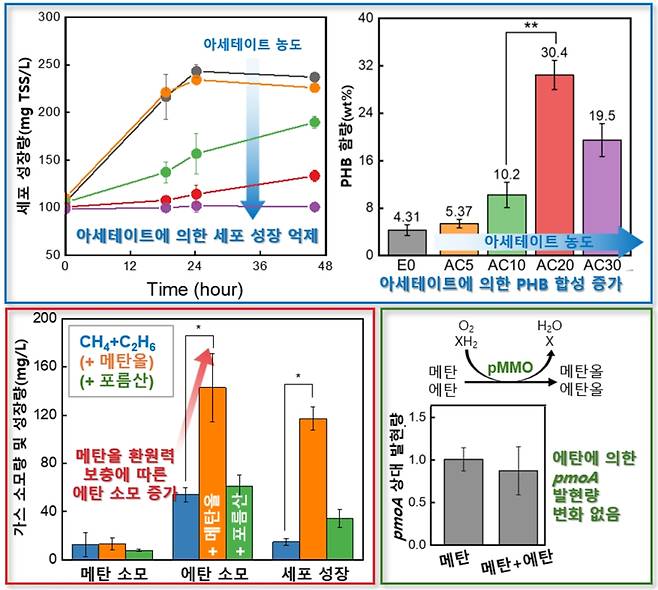 에탄의 의한 편성 메탄산화균 대사 변화의 원인, 아세테이트에 의한 탄소 동화 변화(파란박스), 세포 내 환원력 고갈(빨간 박스), pmoA 발현량 평가(초록 박스). KAIST