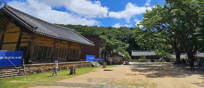 전남 강진군 무위사 극락보전
