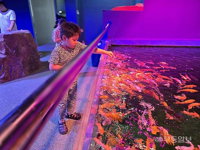 전라남도해양수산과학관 체험 프로그램에 참여하고 있는 어린이. 전라남도해양수산과학관 제공