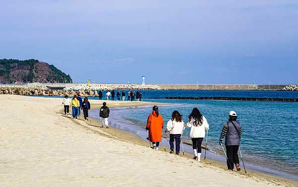 노르딕워킹은 크로스컨트리에서 발전한 것으로 양손에 스틱을 쥐고 네 발로 걷듯이 앞으로 나가는 동작을 반복하는 운동이다. 일반적인 걷기보다 칼로리 소모량이 많아 대사증후군 등 성인병 예방에 좋은 운동으로 알려져 있다.