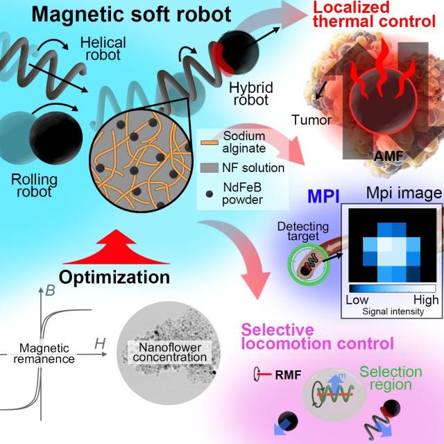 전자기 테라노스틱 시스템 및 마이크로로봇의 주요기능. 사진제공=고려대 세종캠퍼스