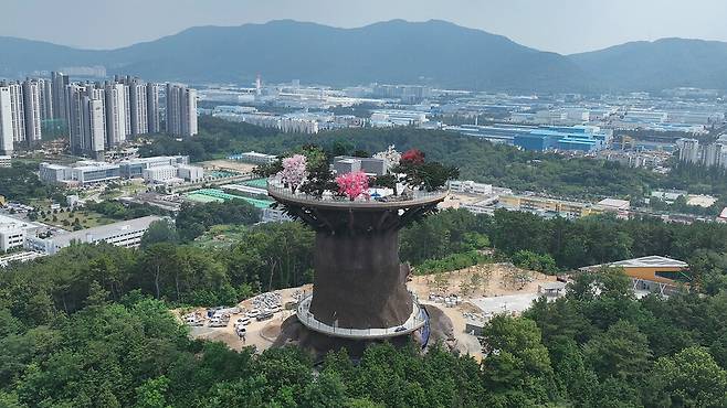 창원 대상공원 '빅트리' 전경 ⓒ창원시