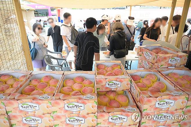 '분홍빛으로 물들다'…세종시 복숭아축제 25일 개막..3일간 복숭아잔치 열려