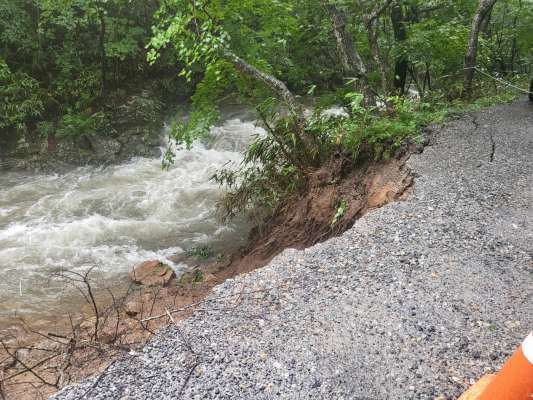 조계산 송광사-선암사 일원 피해 모습