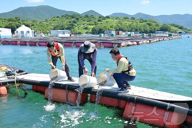 정기명 전남 여수시장(오른쪽)이 30일 돌산읍 가두리 양식장을 찾아 고수온에 따른 피해 예방을 위해 긴급 방류를 하고 있다.(여수시 제공. 재판매 및 DB 금지)