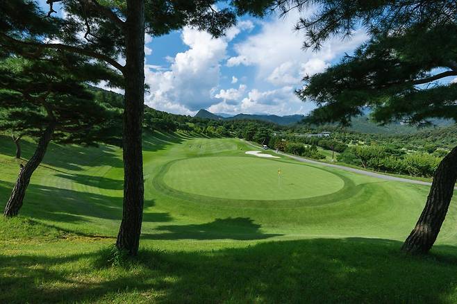 강원 춘천 엘리시안 강촌 컨트리클럽은 그린 주변에 바람이 잘 통하도록 수목을 재배치했다. 엘리시안 강촌 제공