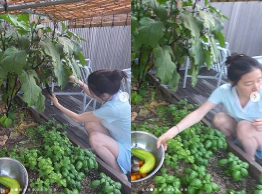 /사진=이영애 개인계정