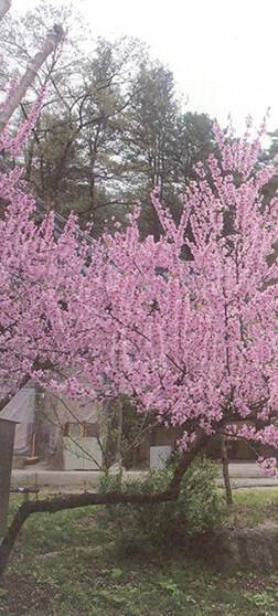 남양주 ‘봉선사’