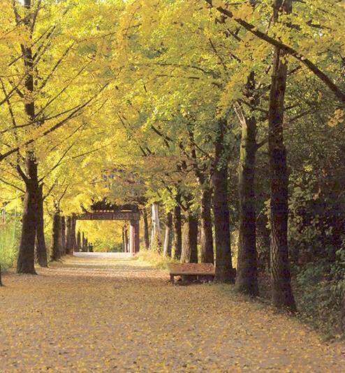 영주 ‘부석사’