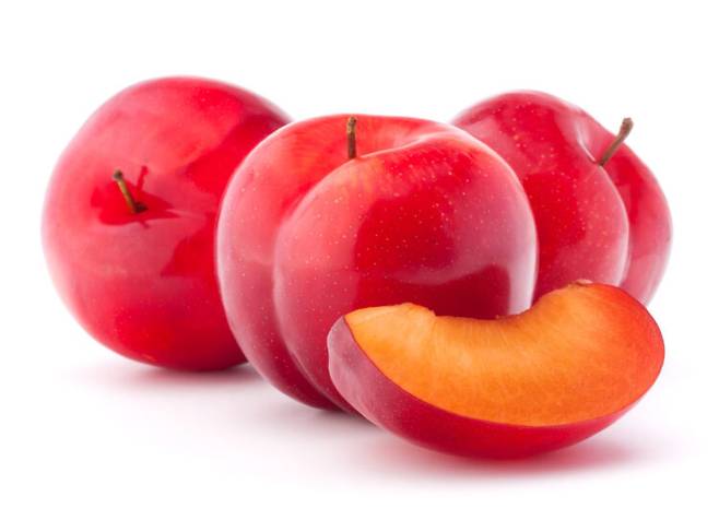 여름이 제철인 자두는 유기산과 비타민A와 C 등이 풍부해 더위로 인한 피로와 무력감을 해소하는 데 도움이 되는 과일로 꼽힌다. [사진=클립아트코리아]