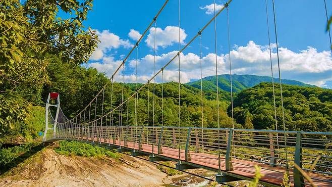 억겁의 시간을 밟다… 8월 추천 지질·생태 힐링 명소🌳 | 여행탐구