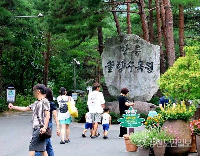 ▲ 지난 9일 강릉솔향수목원은 입구에서부터 가족 단위 피서객들로 붐볐다. 황선우 기자