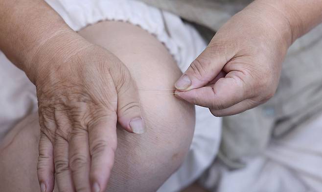 임능부(74)씨가 무릎에 두 가락의 삼을 올려 비비고 있다.