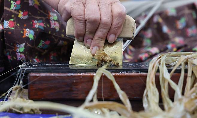 박순자(75)씨가 삼의 겉껍질을 훑어내고(벗기고) 있다.