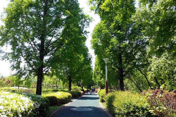 봄에 본 신정호 산책로. 아산시 제공