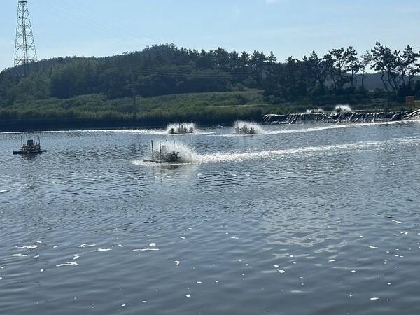 전남의 한 새우양식장. 연합뉴스