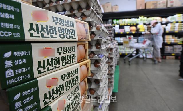 ▲ 강원도민일보 자료 사진