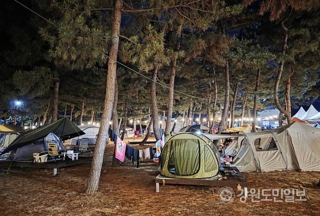 ▲ 지난 8일 찾은 강릉 주문진해수욕장. 캠핑비어 페스티벌이 열려 피서객들 사이에서 바닷가 캠핑이 인기를 끌었다.황선우 기자