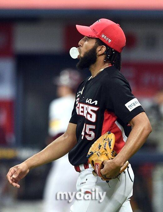 메디나/마이데일리